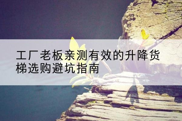 荥阳升降货梯怎么选-工厂老板亲测有效的升降货梯选购避坑指南