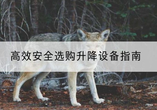 荥阳升降货梯厂家推荐-*安全选购升降设备指南