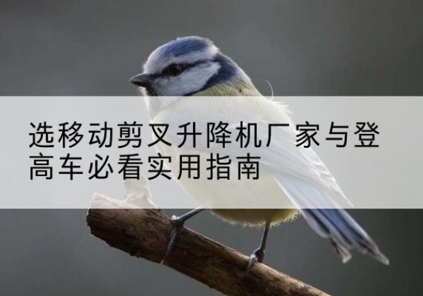 荥阳电动升降机厂家-选移动剪叉升降机厂家与登高车必看实用指南