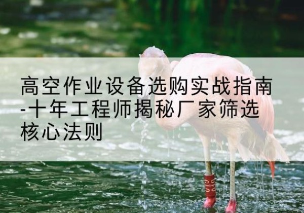 荥阳剪叉式升降机厂家-高空作业设备选购实战指南-十年工程师揭秘厂家筛选核心法则